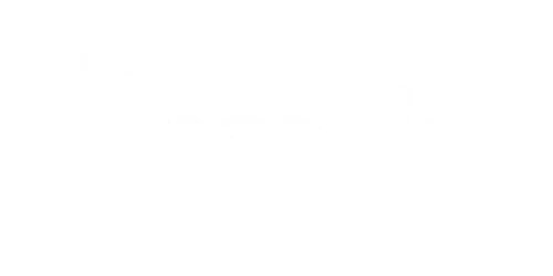 Inertia