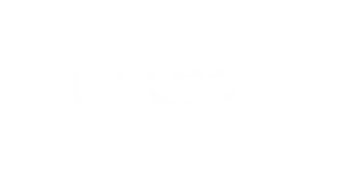 Neuron Build